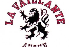 logo-Vaillante