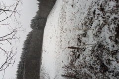 IMG_20201231_105045_751