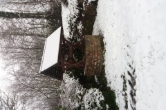 IMG_20201231_110205_699