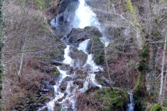 DSC00480