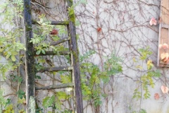 IMG_20191110_152203