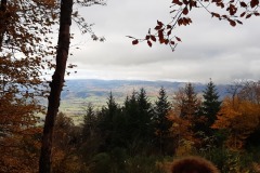 20191124_143506