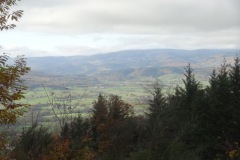 DSC02033