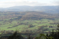 DSC02037