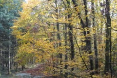 DSC02049