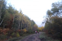 DSC02074