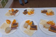 IMG_20230424_073809