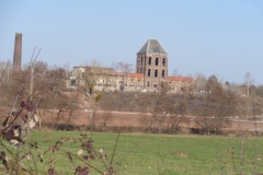 DSC01990